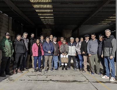 polo cooperativo